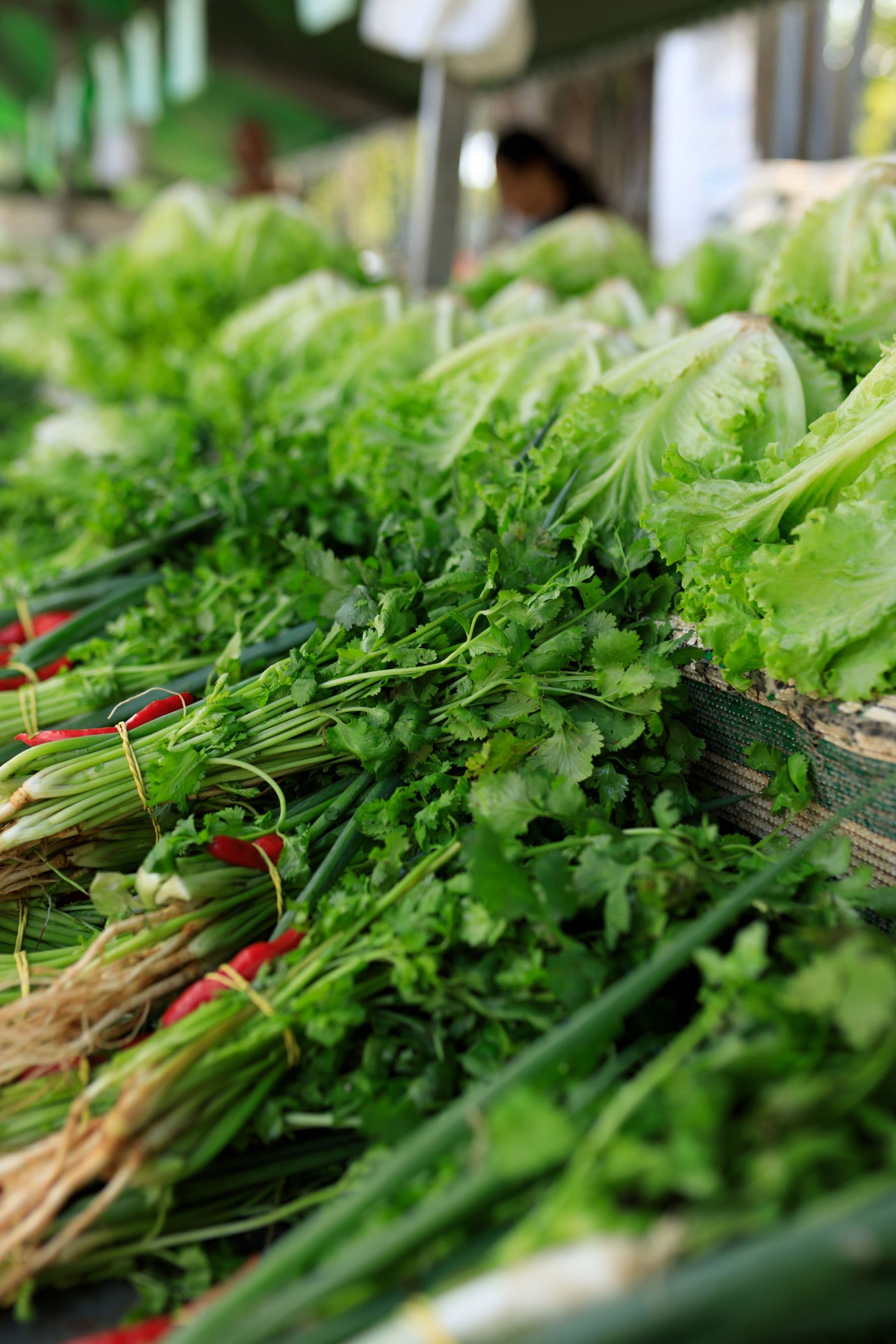 Bunches of fresh leafy greens on a market table